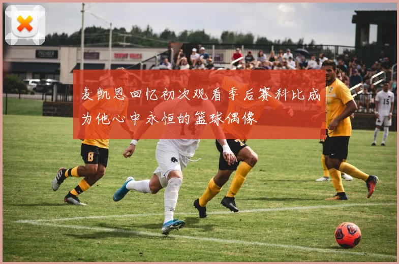 麦凯恩回忆初次观看季后赛科比成为他心中永恒的篮球偶像