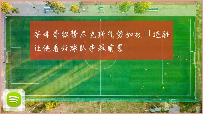 字母哥称赞尼克斯气势如虹11连胜让他看好球队夺冠前景